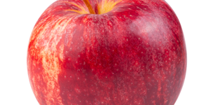 pomme-crismoncrips-vendee pomme rouge bio vendée vergers