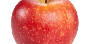 pomme-daliclass-vendee pommes bio vendée vergers