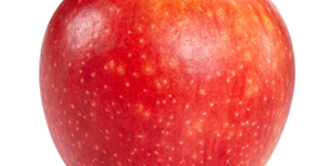 pomme à croquer bio vendée vergers