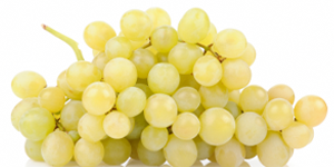 raisin-chasselas raisin bio vendée vergers
