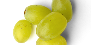 raisin-exalta raisin bio vendée vergers