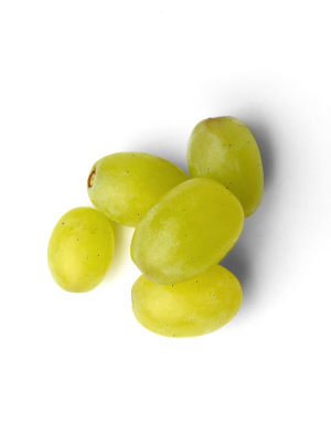 raisin bio vendée vergers