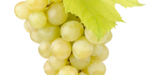 raisin-ora raisin bio vendée vergers