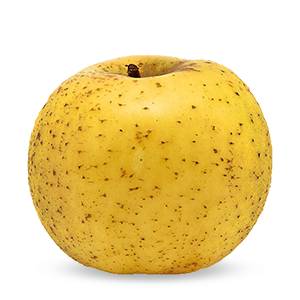 pomme-belchard-vendee