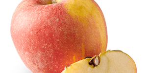 pomme-dalirene-vendee-bio2