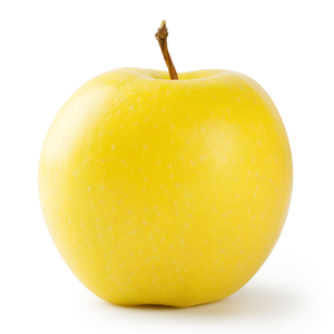 pomme à cueillir bio vendée vergers