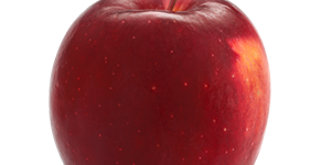 pomme-story-vendee-bio